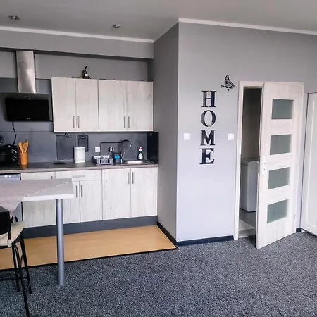 Apartment Na Reymonta *